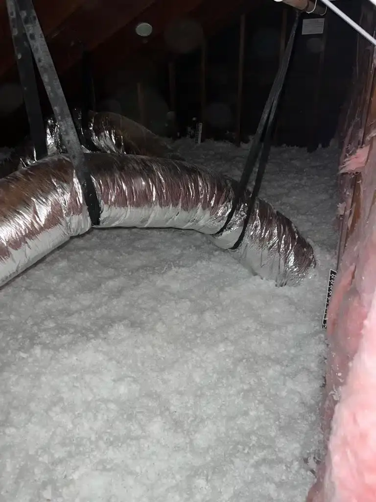 IMG 20230606 WA0280.jpg | Attic Shield