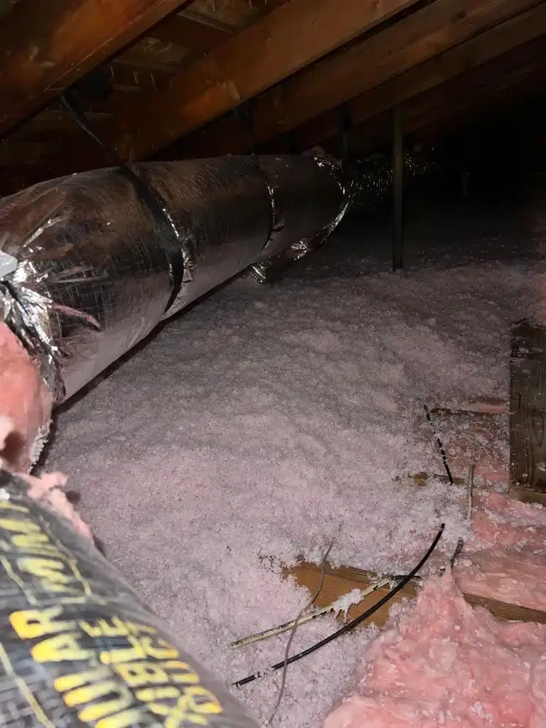 Kevin 3.14 76.jpg | Attic Shield