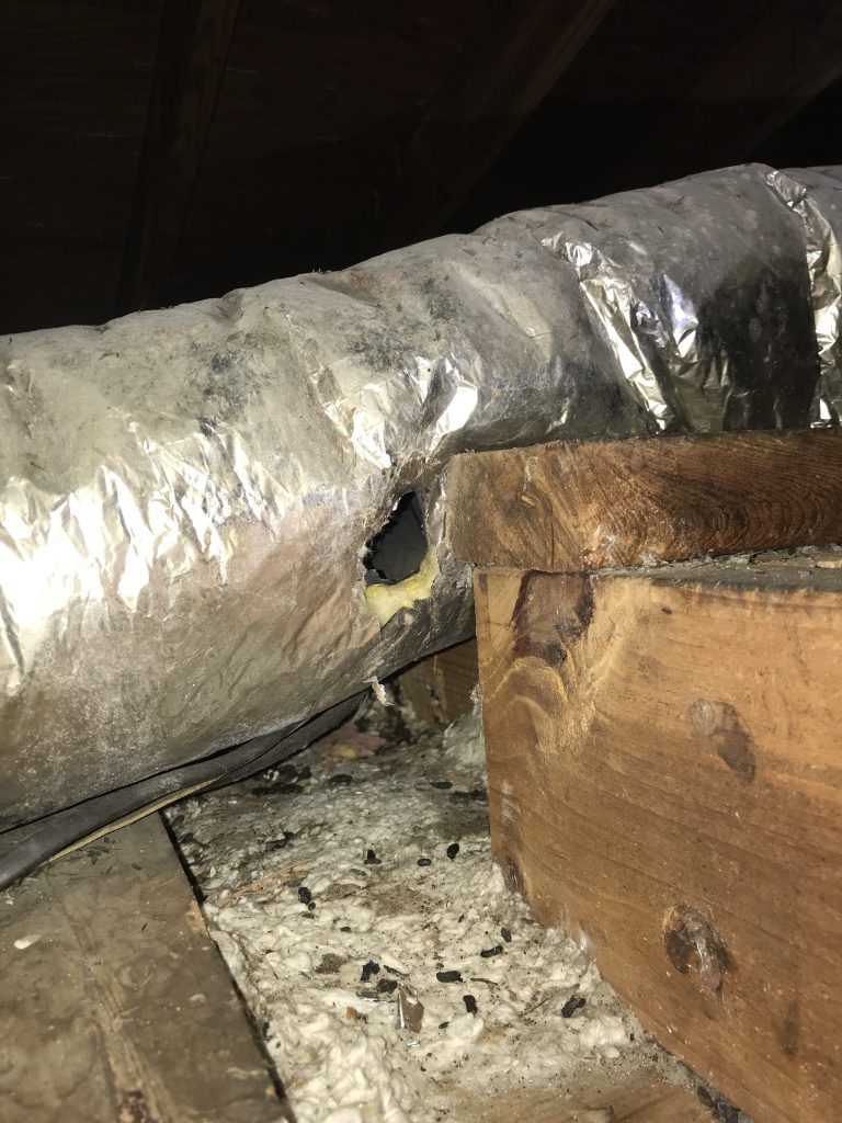 Attic cleaning and restoration improves HVAC cleanliness by removing debris and contamination