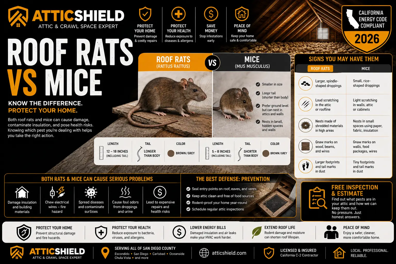 AtticShield RatvsMBlog | Attic Shield